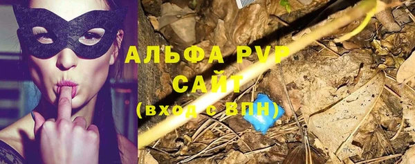 соль ск Касимов