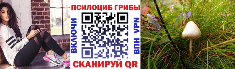 Псилоцибиновые грибы мицелий  Купить где  Ялта 